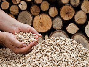 Il nostro pellet prodotto da trucioli e sfridi di puro legno.